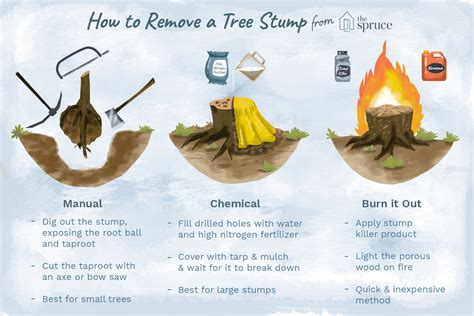 how to hide tree stumps